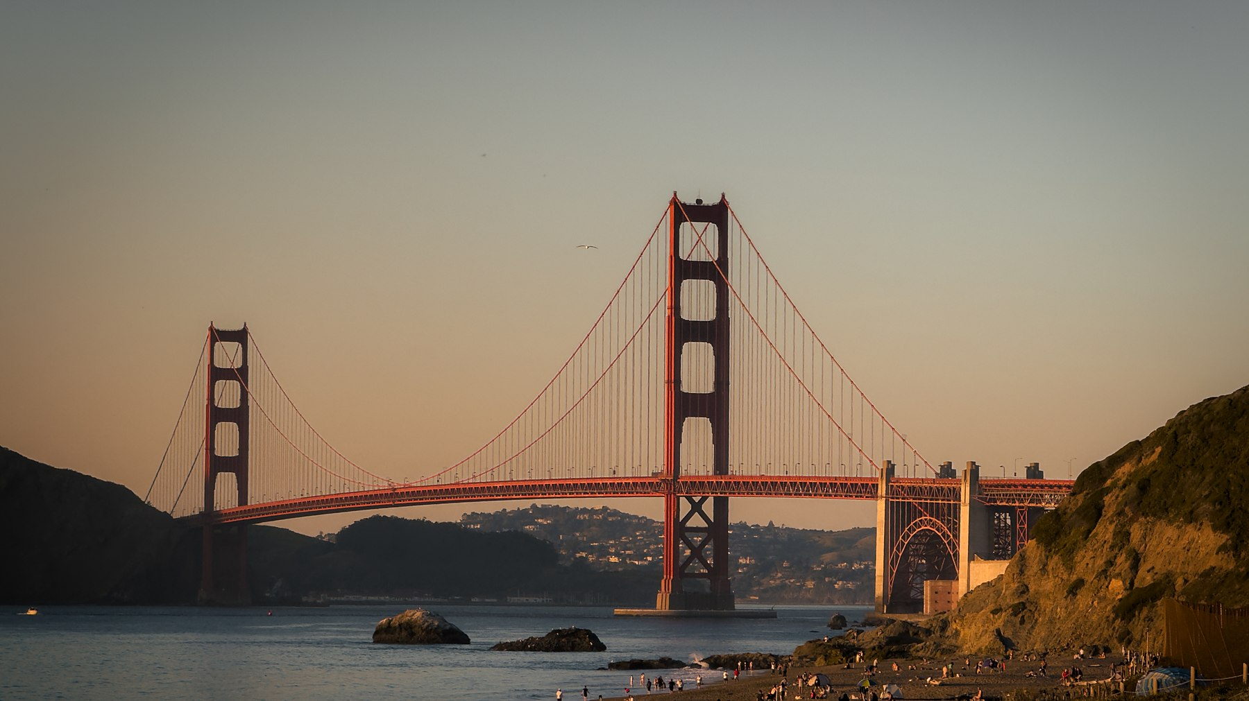 San Francisco laid out from the hills at first light