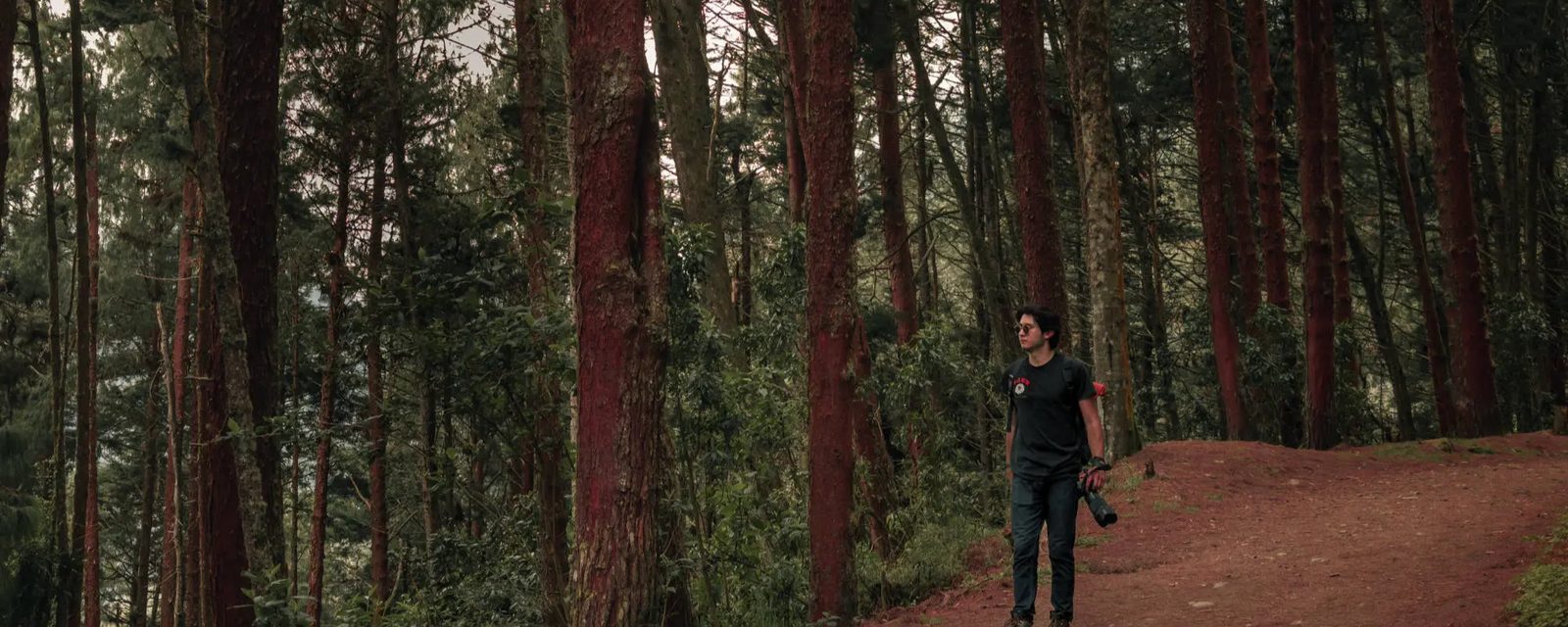 On a trail with a camera
