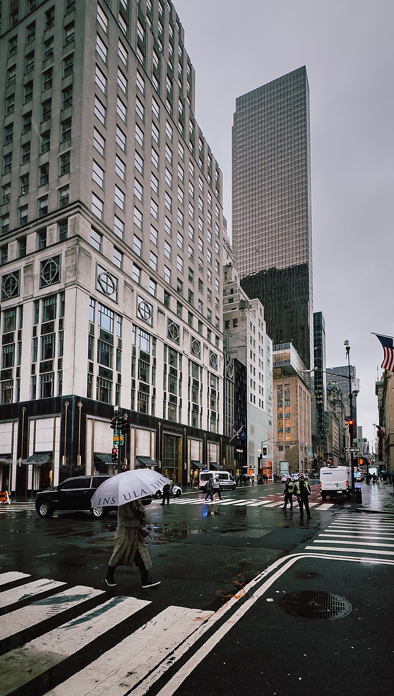 A rainy crossing on Fifth Avenue, New York