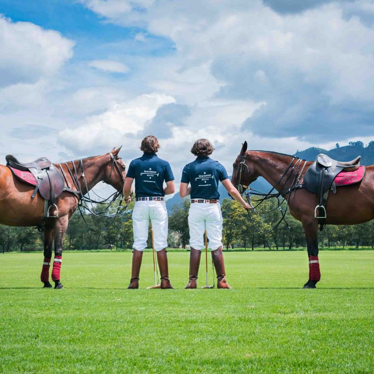 A polo team and their horses before a match