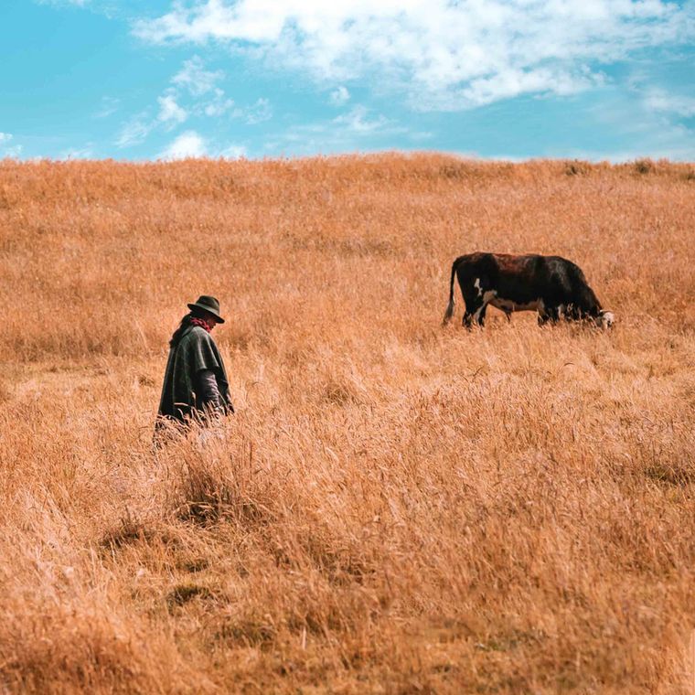 A man in a ruana crossing dry grass